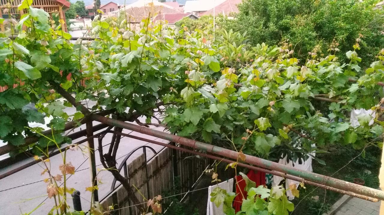 Guest House Gelit Mtsʼkhetʼa Buitenkant foto
